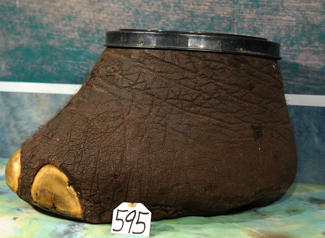 Real African Elephant Foot Trashcan Taxidermy **U.S. Residents Only!** (1 of 3)