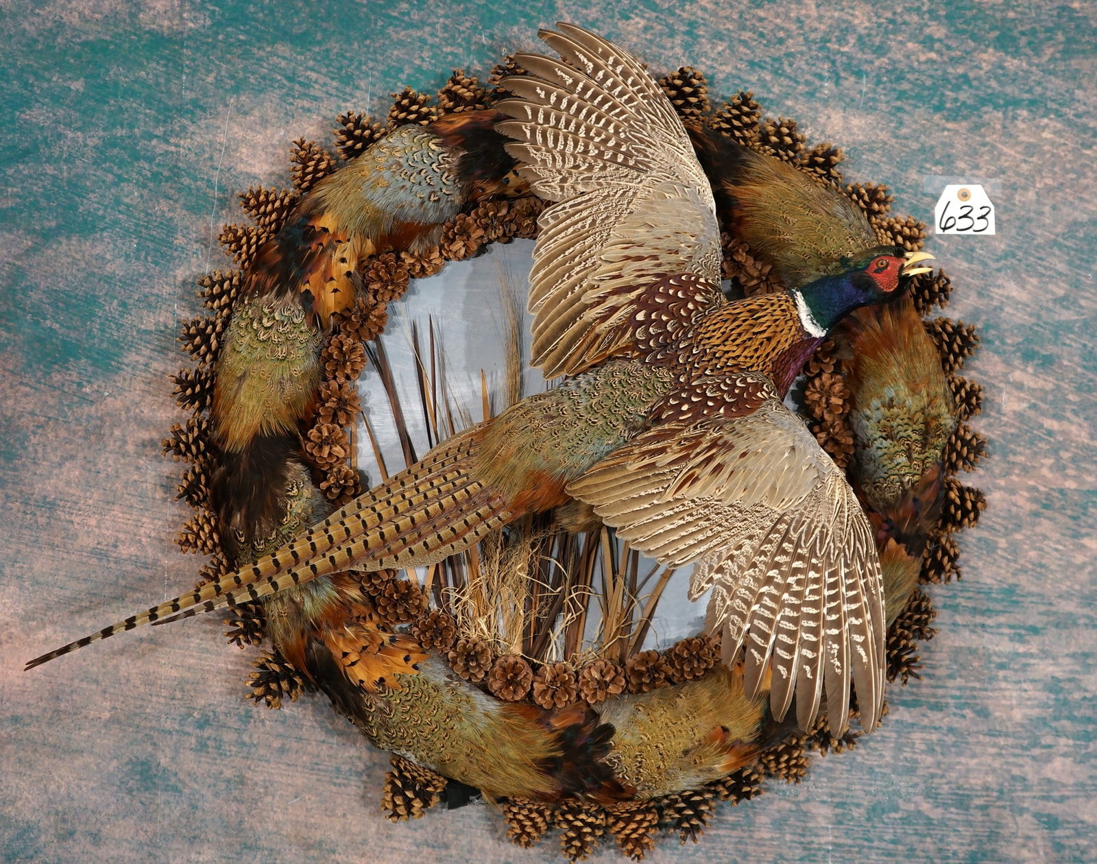 Beautiful Ringneck Pheasant with Feathers and Pine Cone Wreath Taxidermy Bird Mount: This is truly a unique and beautiful mount. The mount is very lifelike, clean, and in excellent condition. The quality of the taxidermy is outstanding, and this mount grades a perfect 10.