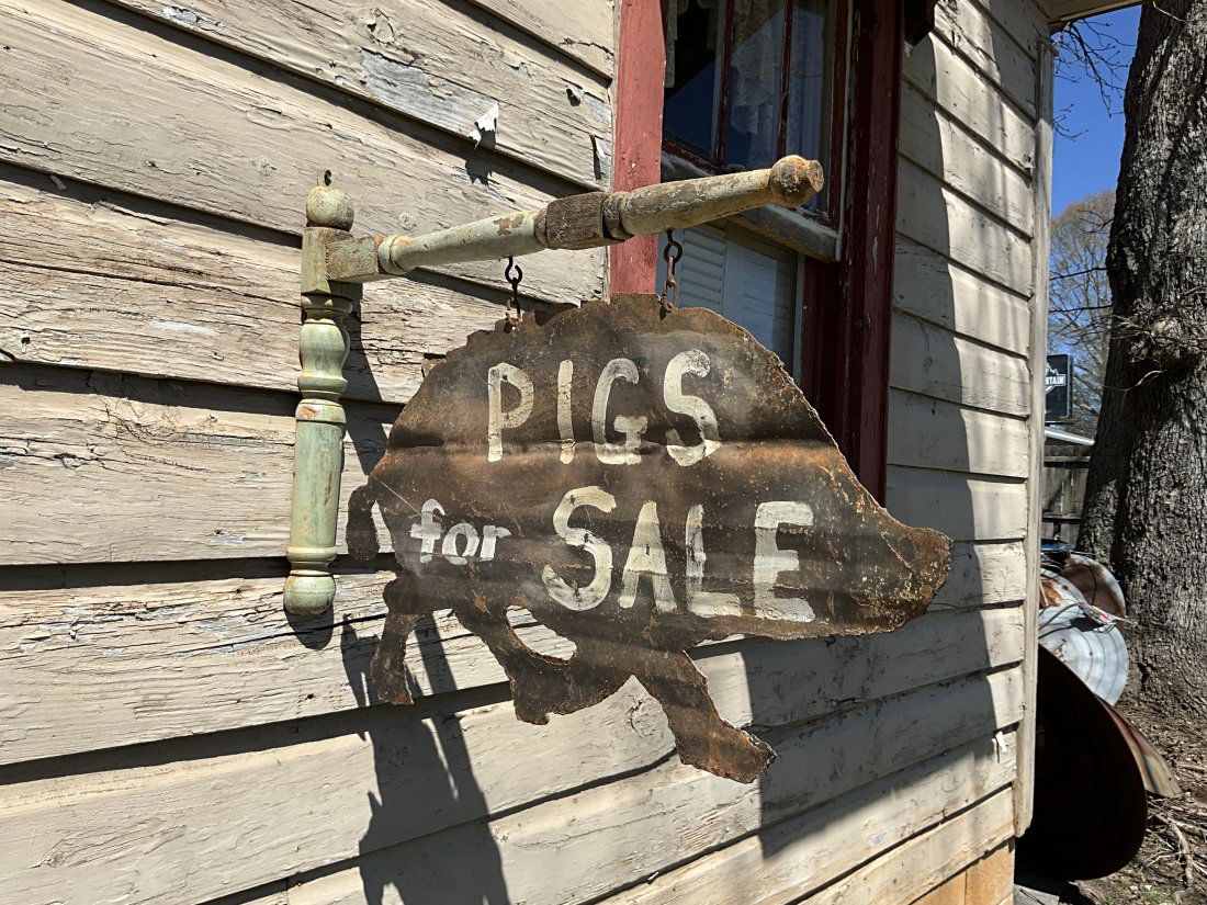 Old Metal PIGS FOR SALE Hanging Double Sided Sign With Hangar (1 of 3)
