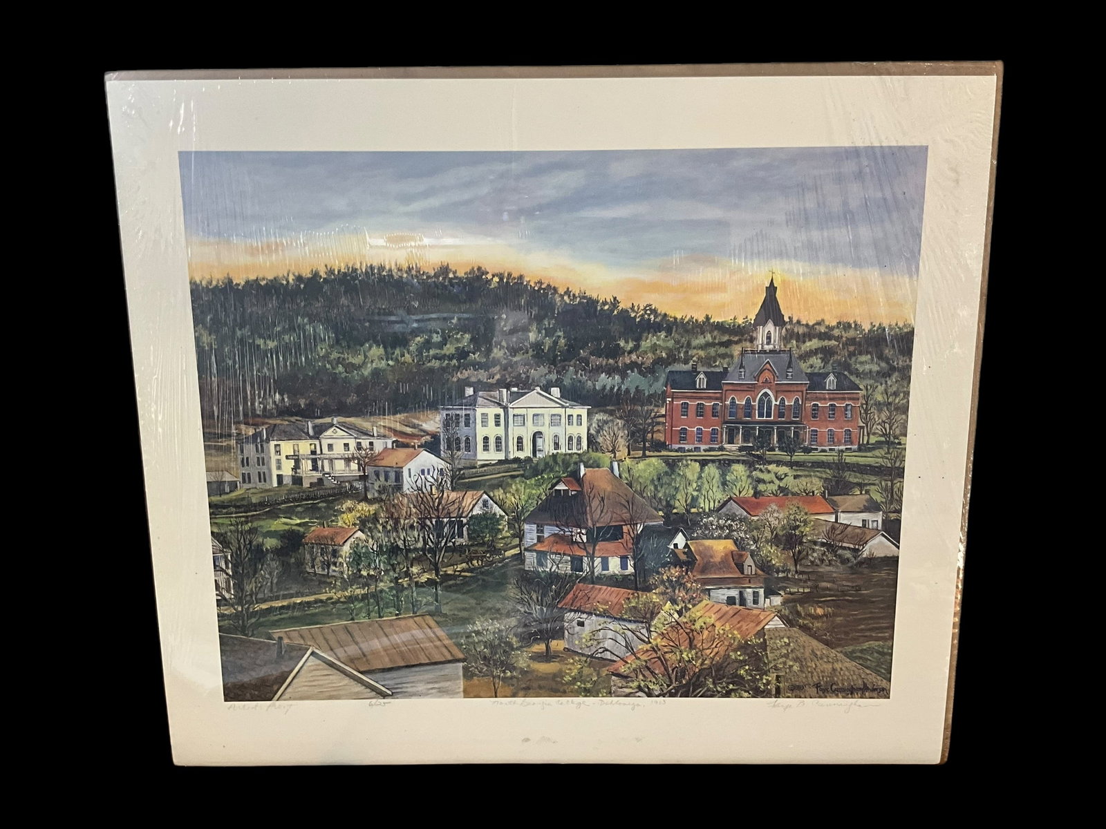 Faye B Cunningham NORTH GA COLLEGE DAHLONEGA Artist Proof 6/25: Still sealed. Artist proof 6/25. Measures 20 1/2 x 17 3/4 inches.