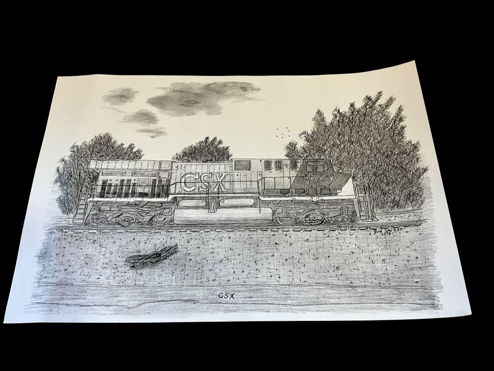 Bud Savage 2016 Artwork / CSX Train (1 of 1)