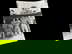 item-205624333=12