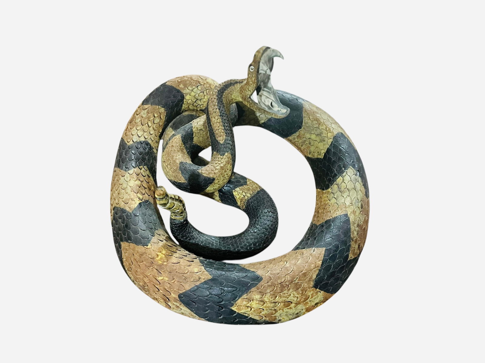 Scarce Melvin S Crocker Coiled Rattlesnake (1 of 9)