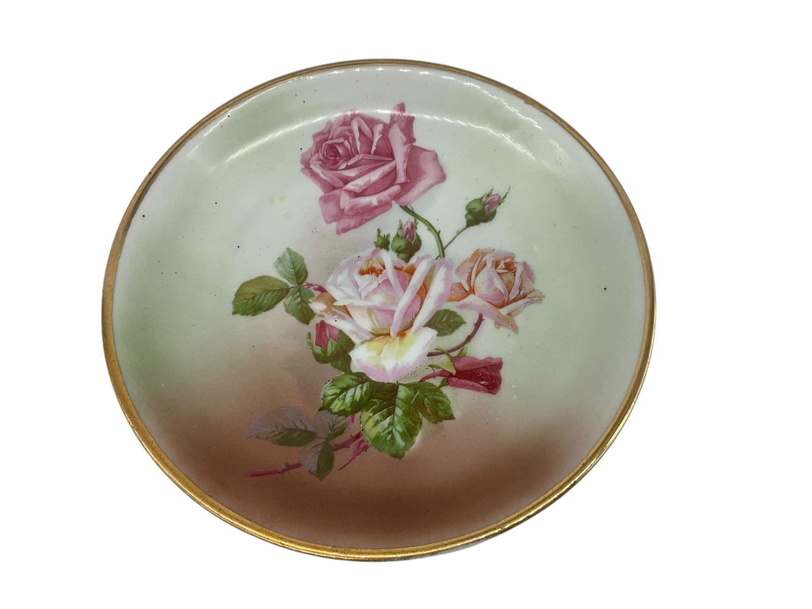 CT Carl Tielsch Germany Porcelain Serving Plate (1 of 2)