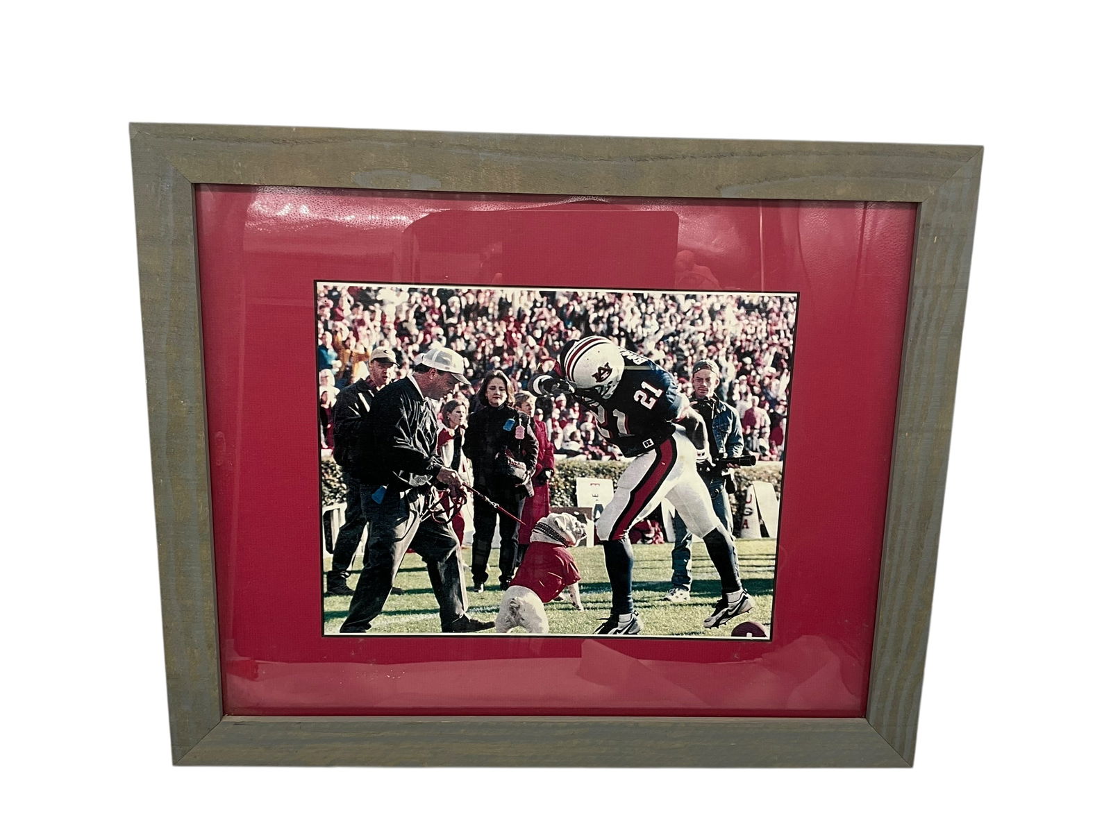 Framed UGA Auburn 'UGA Bites' Print: Excellent condition. Framed copy of photo. Measures 18.5" x 22.75".