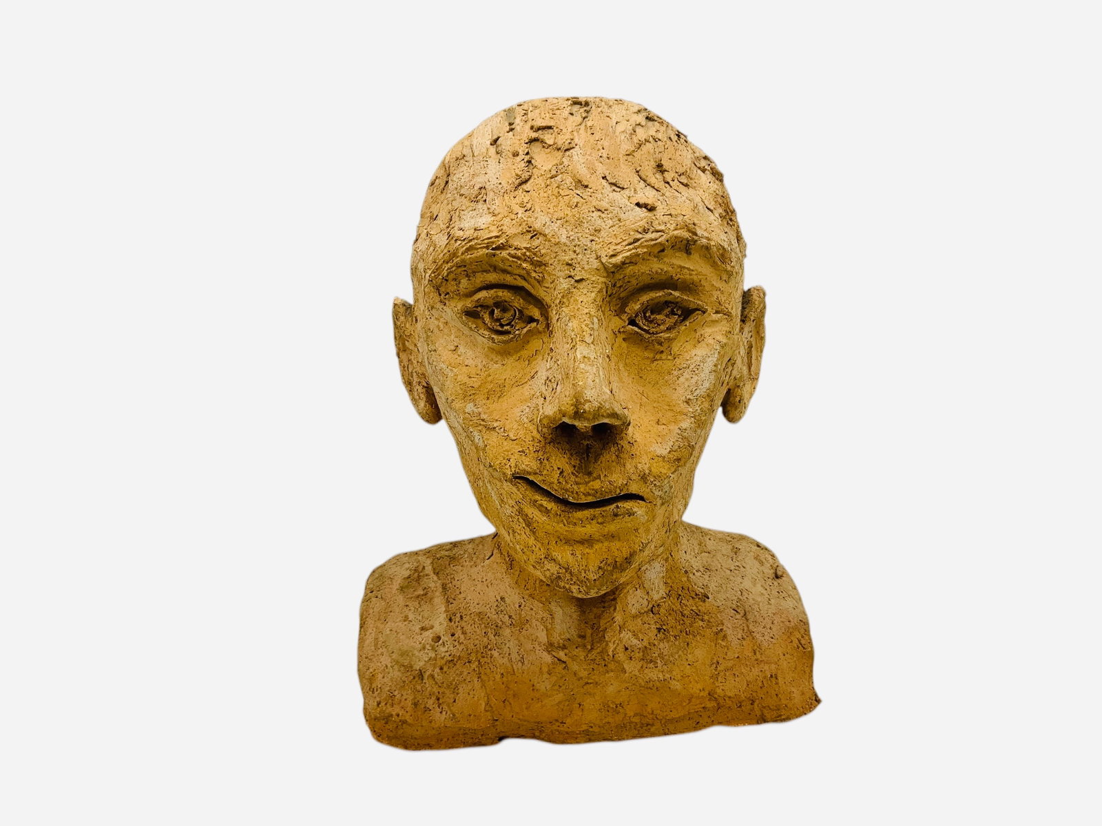 Peculiar Pottery Bust: Excellent condition. Measures 8"L x 4"W x 10.5"H.