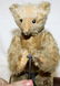 100: STEIFF RECORD TEDDY - 2