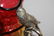 SILVER PLATE HOLDER, PARROT HANDLES, AMBERINA VASE - 4