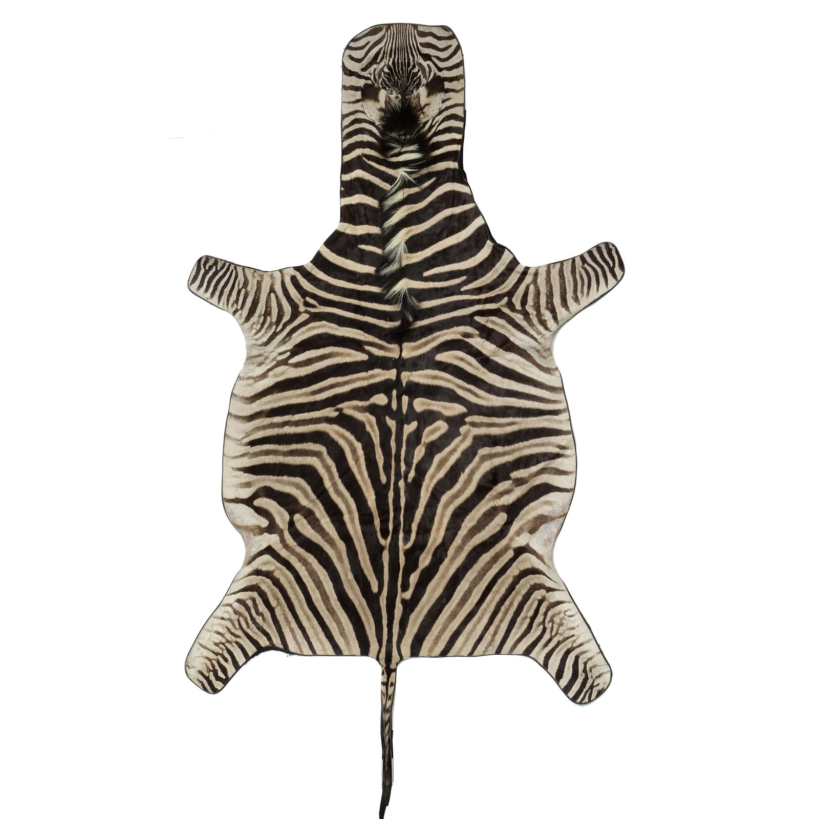 TAXIDERMY ZEBRA RUG: Provenance: Items from an Armonk, NY Lady Inventory Code: 4K-122