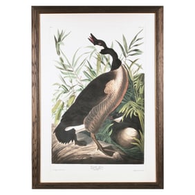 AFTER JOHN JAMES AUDUBON (1785-1851
