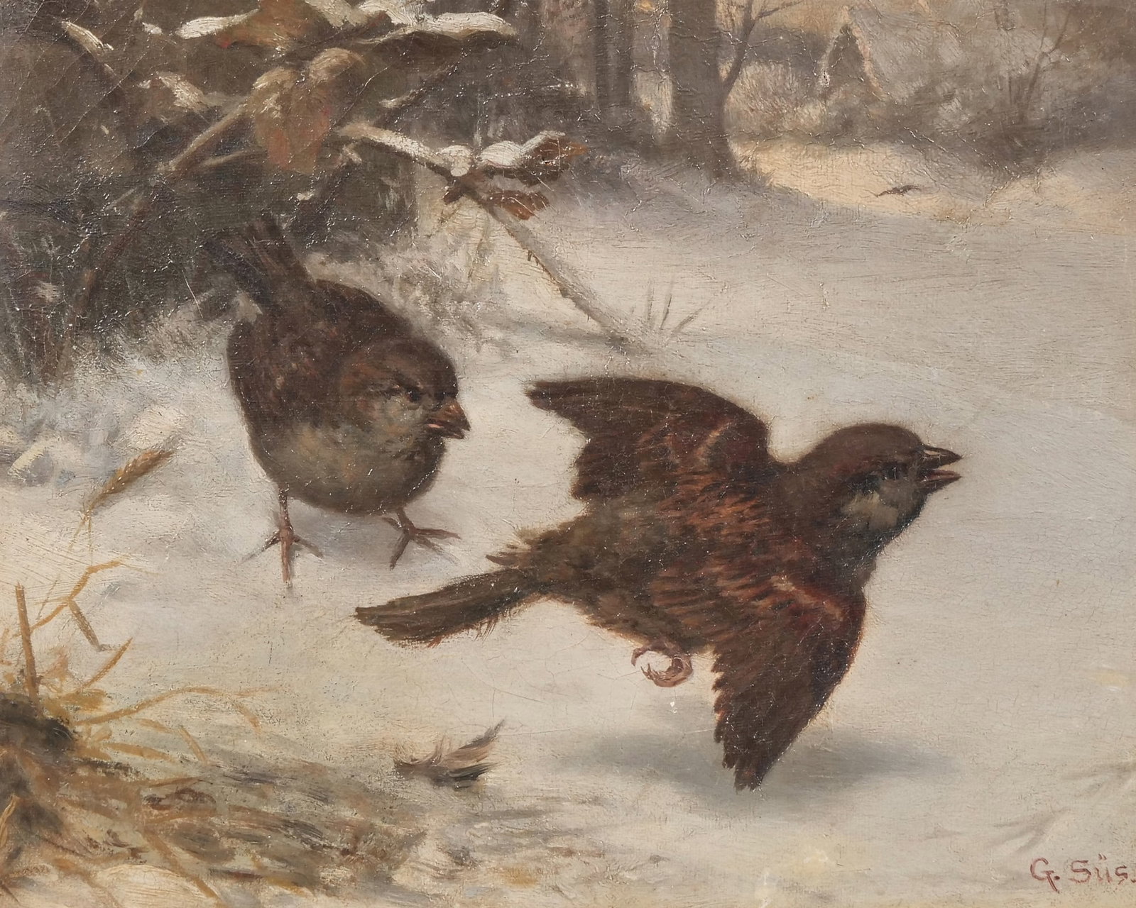 GUSTAV KONRAD SÜS (1823-1881) PAINTING: Sparrows in Snow oil on canvas 9.25 x 11.5 in, stretcher Signed lower right. Has been professionally framed. Gustav Sus was a german artist known for his avian paintings. h. 12.5" x l. 14.