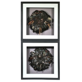 (2pc) FRAMED JUJU FEATHER HATS