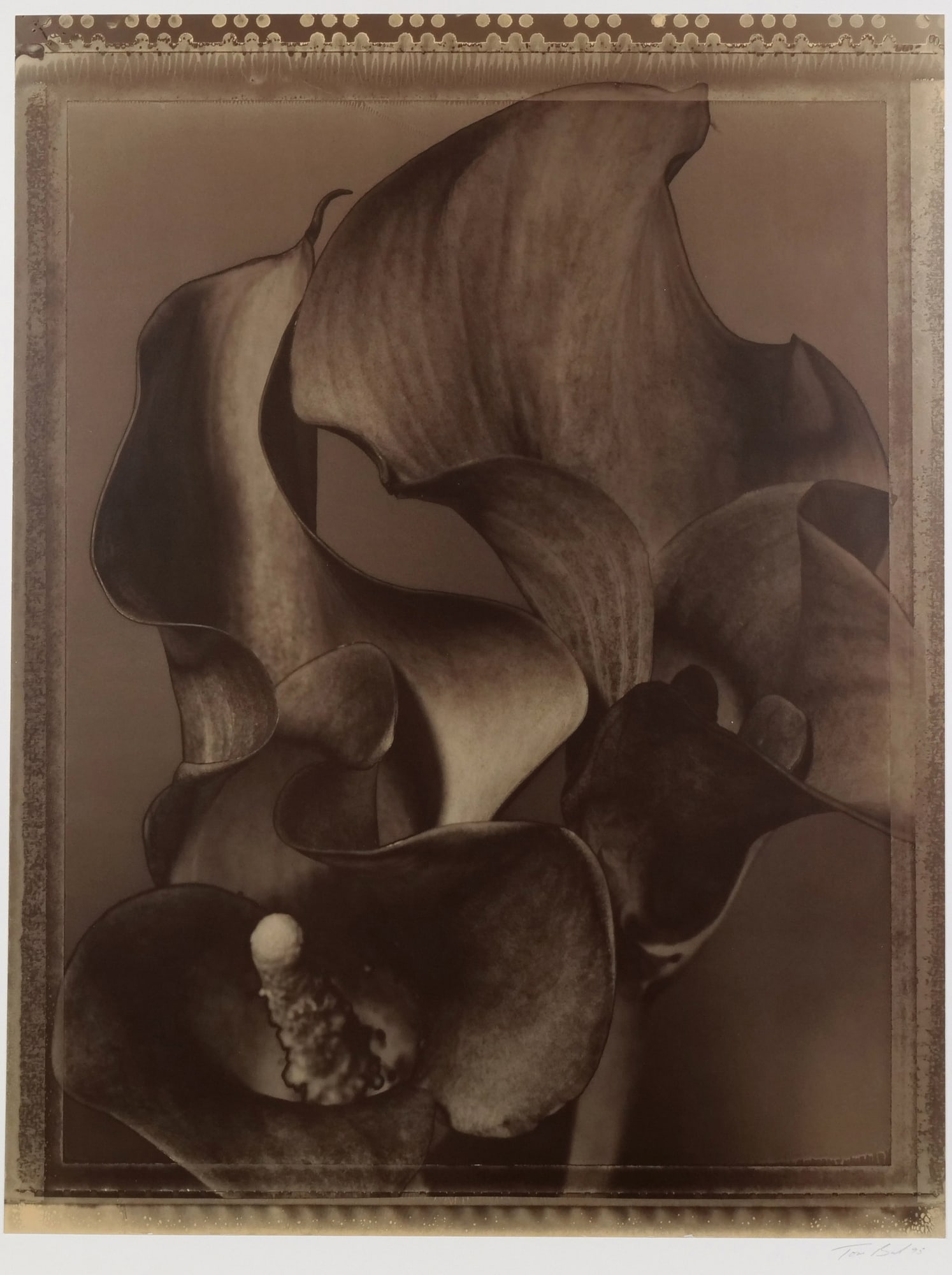 TOM BARIL (AMERICAN, B. 1952), SILVER GELATIN PHOTOGRAPH (1 of 11)