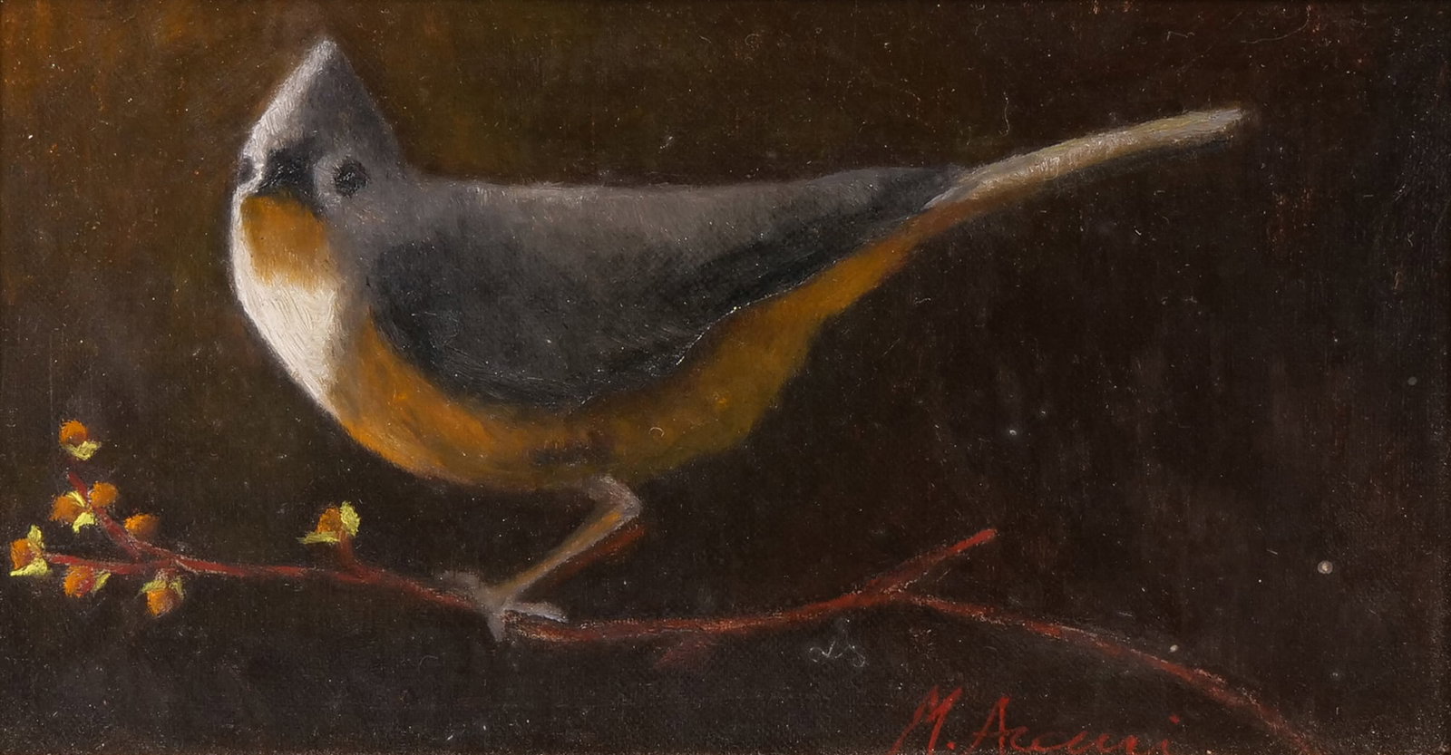 M. ACCURI (19TH/20TH CENTURY) OIL PAINTING: Tufted Titmouse Oil on Board h. 4 x w. 7.5 in., sight; h. 6.25 x w. 9.5 in., frame Signed 'M. Accuri' lower right; the avian subject is depicted perched on a budding branch against a dark ground and i