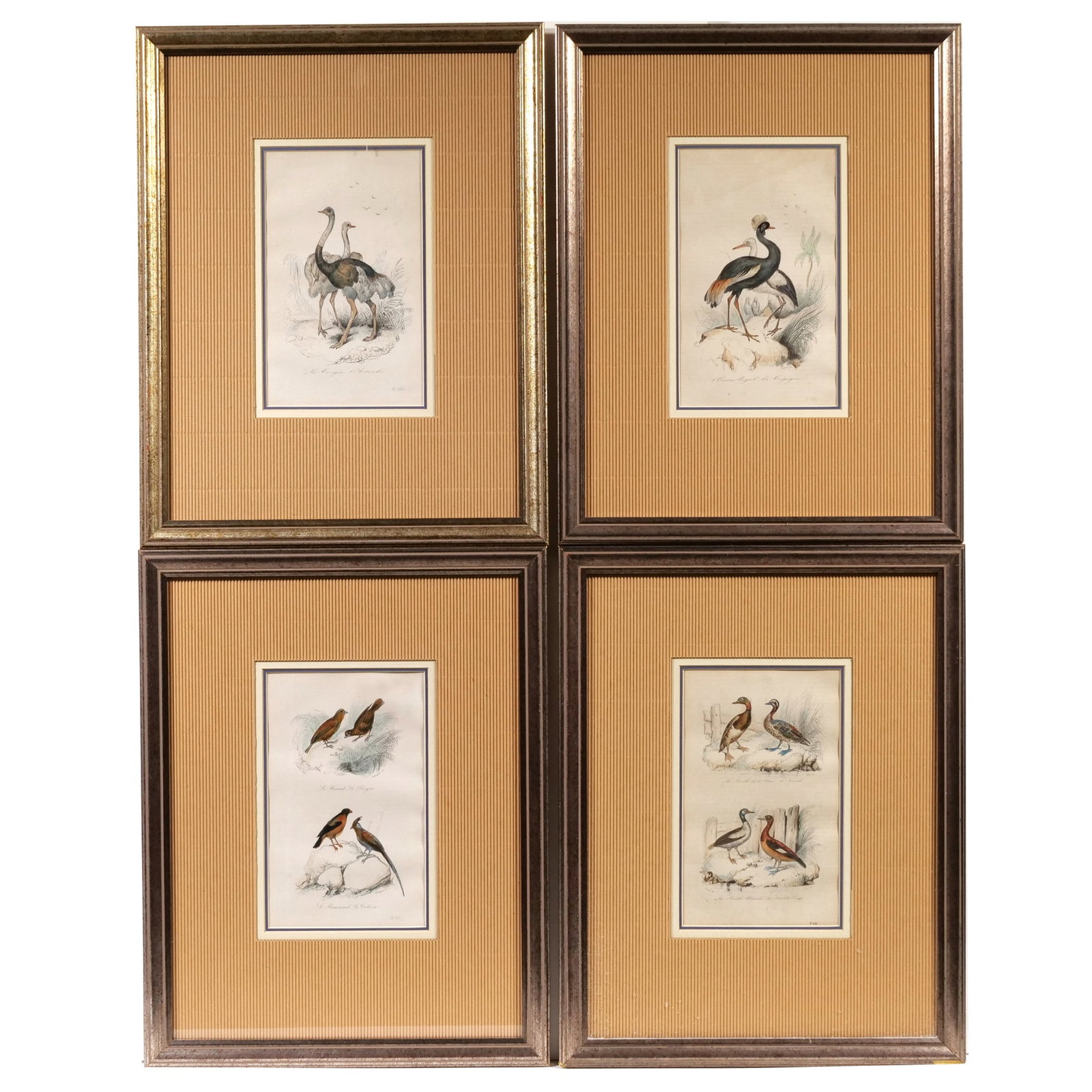 (4pc) HAND COLORED LITHOGRAPHS FROM 'OEUVRES COMPLETES DE M. DE BUFFON' (1 of 10)
