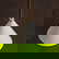 item-205743484=8