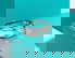 item-208074005=3
