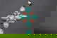 item-209907560=1