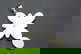 item-209907560=3