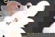 item-209907560=4