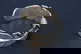 item-209908180=4