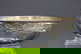 item-209916821=1
