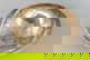 item-209916822=8