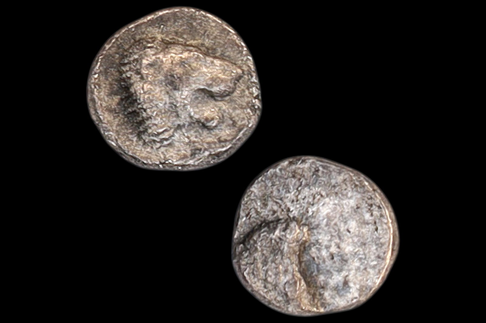 Ancient Caria 400 BCE Silver Coin Mylasa, Uncertain Tetartemorion, Head Of Ram And Head Of A Lion (1 of 3)