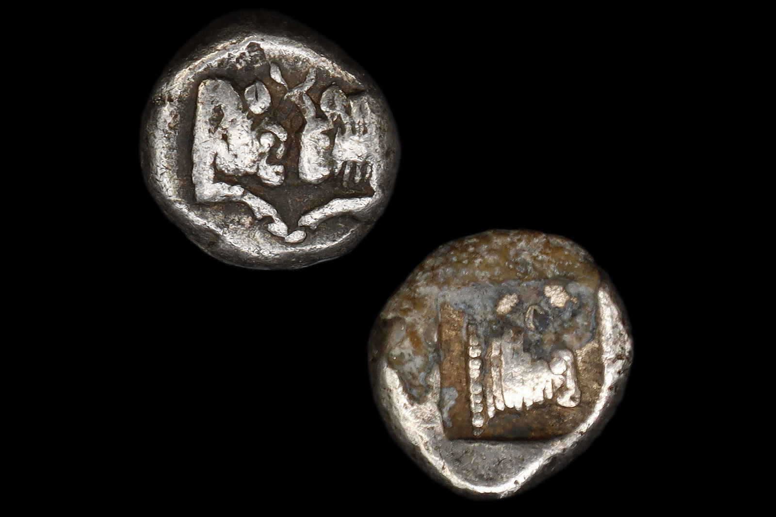 Ancient Caria 400 BC Silver Coin, Uncertain Tetartemorion, 1/3 Siglos Two Confronted Bulls, One Bull: CARIA, UNCERTAIN (MINT D), AR 1/3 SIGLOS Circa 450 to 400 BCE Obverse: Foreparts of two confronted bulls, with horns intertwined Reverse: Head of bull facing to the right. Square Incuse. (RARE VARIANT