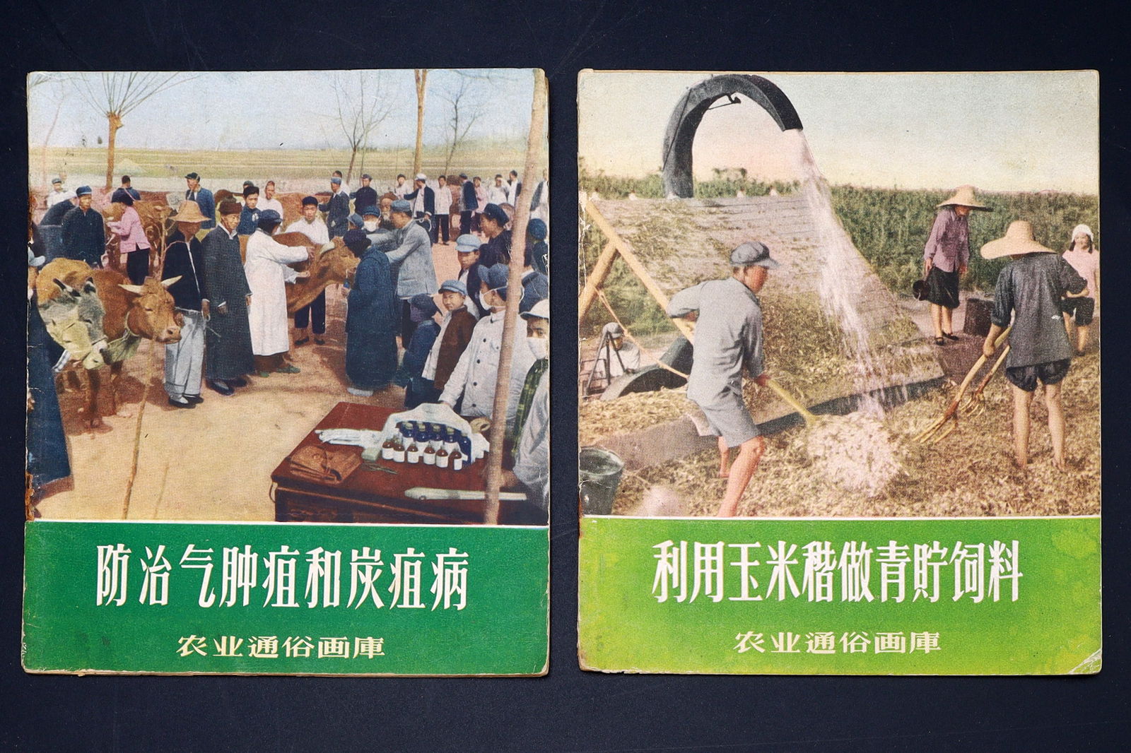 Vintage 1955 Chinese Manual Books, Two Volumes From The Popular Agricultural Picture Library (1 of 7)
