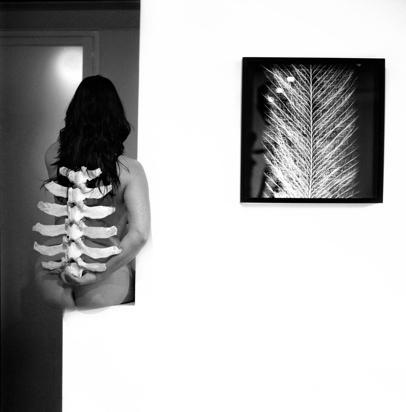 Madrid Spain, Hasselblad Photo Print 24 x 24 inches, Signed, Israeli Contemporary Artist Naama Sarid: Title: I Contemplate Nature. Madrid, Spain 2011. Hasselblad camera, Color 160iso Film. B&W Medium Format Analogue Photography, nude portrait, Spanish Female Model, Spanish Visual Poetry, Contemporary