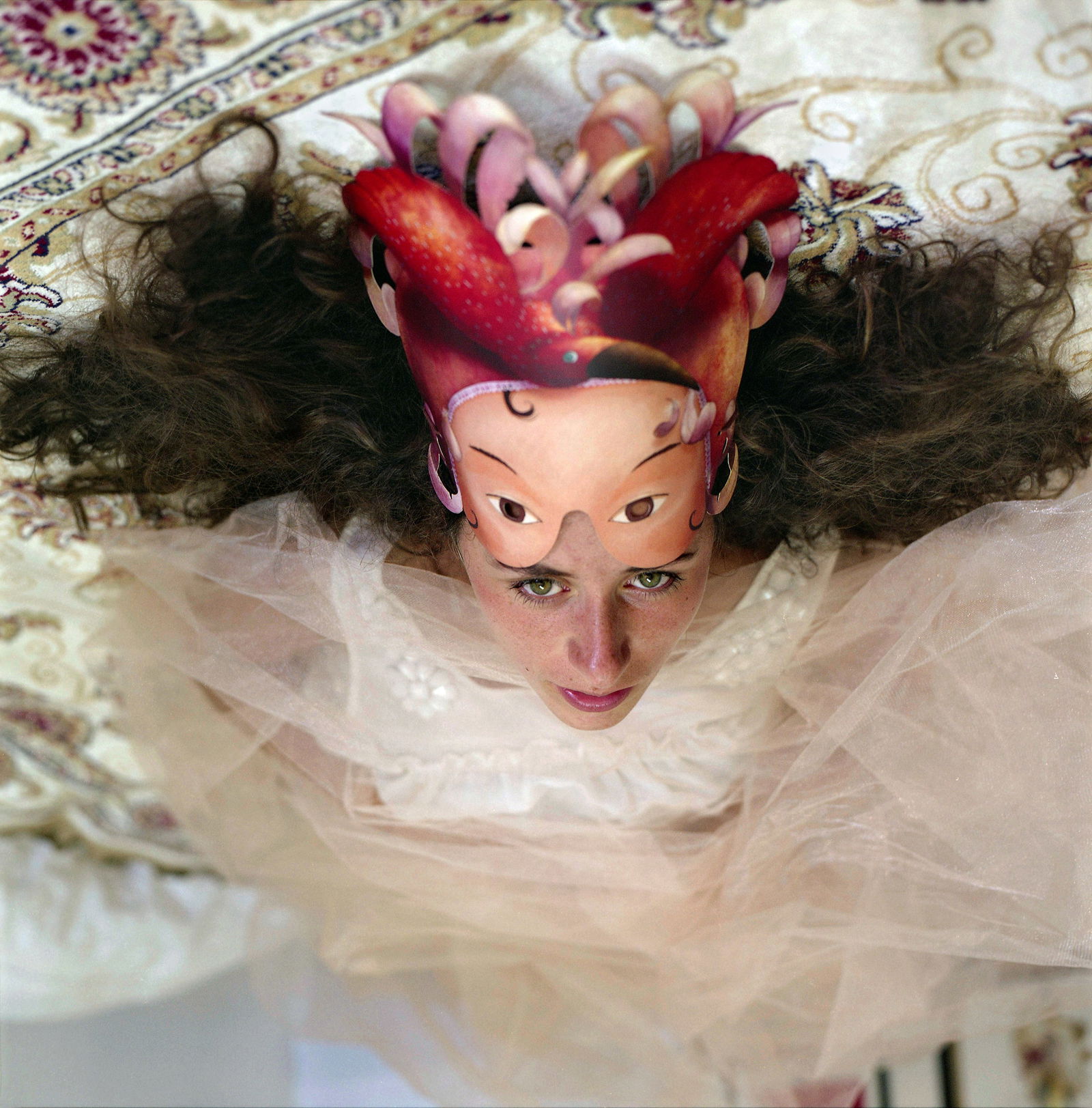 Jaffo, Tel Aviv, Hasselblad Photo Print 24 x 24 in, Signed, Israeli Contemporary Artist Naama Sarid: Title: A Bird Flying Above The Earth, Under The Firmament Of The Heavens. Wycliffe, Bible Genesis 1. Tel Aviv, Israel 2012. Hasselblad camera, 100iso Color Film. Color Medium Format Analogue Photograp