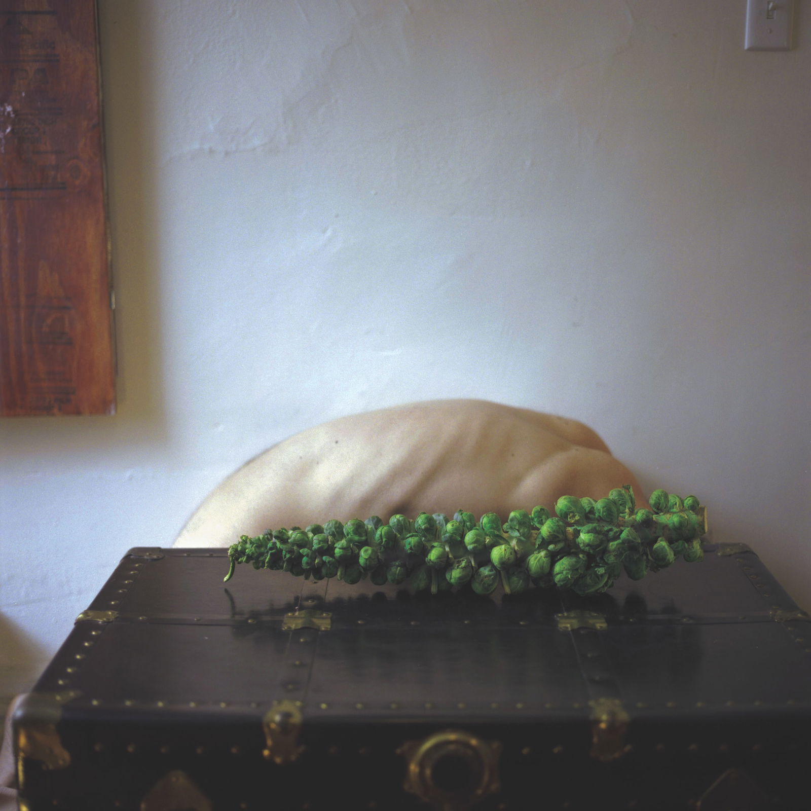 New York City, Hasselblad Analogue Photography Print 24 x 24 in, Cuban Artist Conrado Maleta: Title: Ode To A Pornographic Veganism, Brookyn, New York City 2014. Color Medium Format Analogue Photography. Contemporary Conceptual Cuban Art, Vintage Hasselblad 500CM, Conrado Maleta, Limited Editi