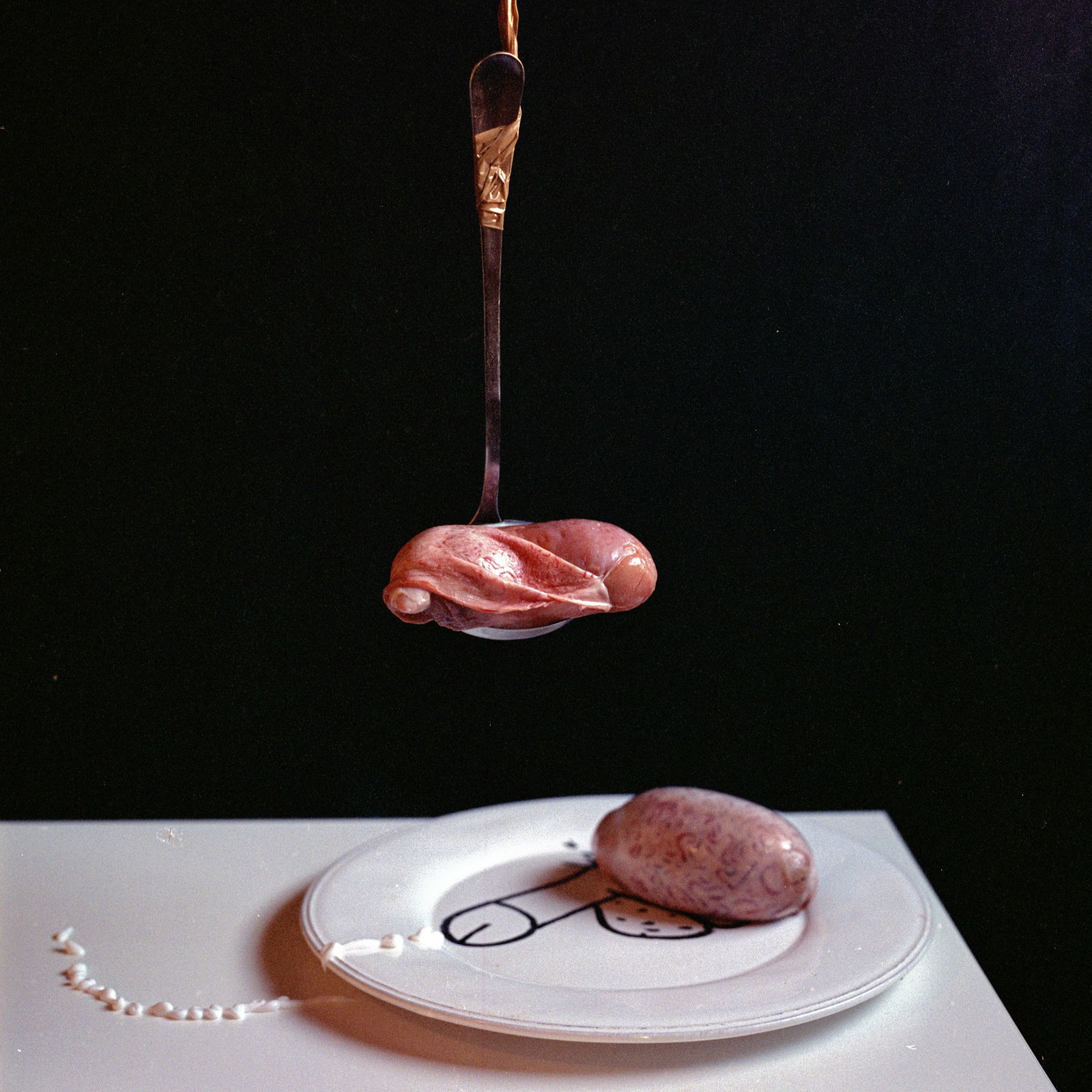 Spanish Still Life, Hasselblad Analogue Photography Print 24 x 24 in, Cuban Artist Conrado Maleta: Tittle: Man, Male And Masculine, Still Life Photography From A Bizarre Cabinet of Curiosities, Madrid Spain 2009. Color Medium Format Analogue Photo Prints. Neo Baroque Visual Poetry, Contemporary Con