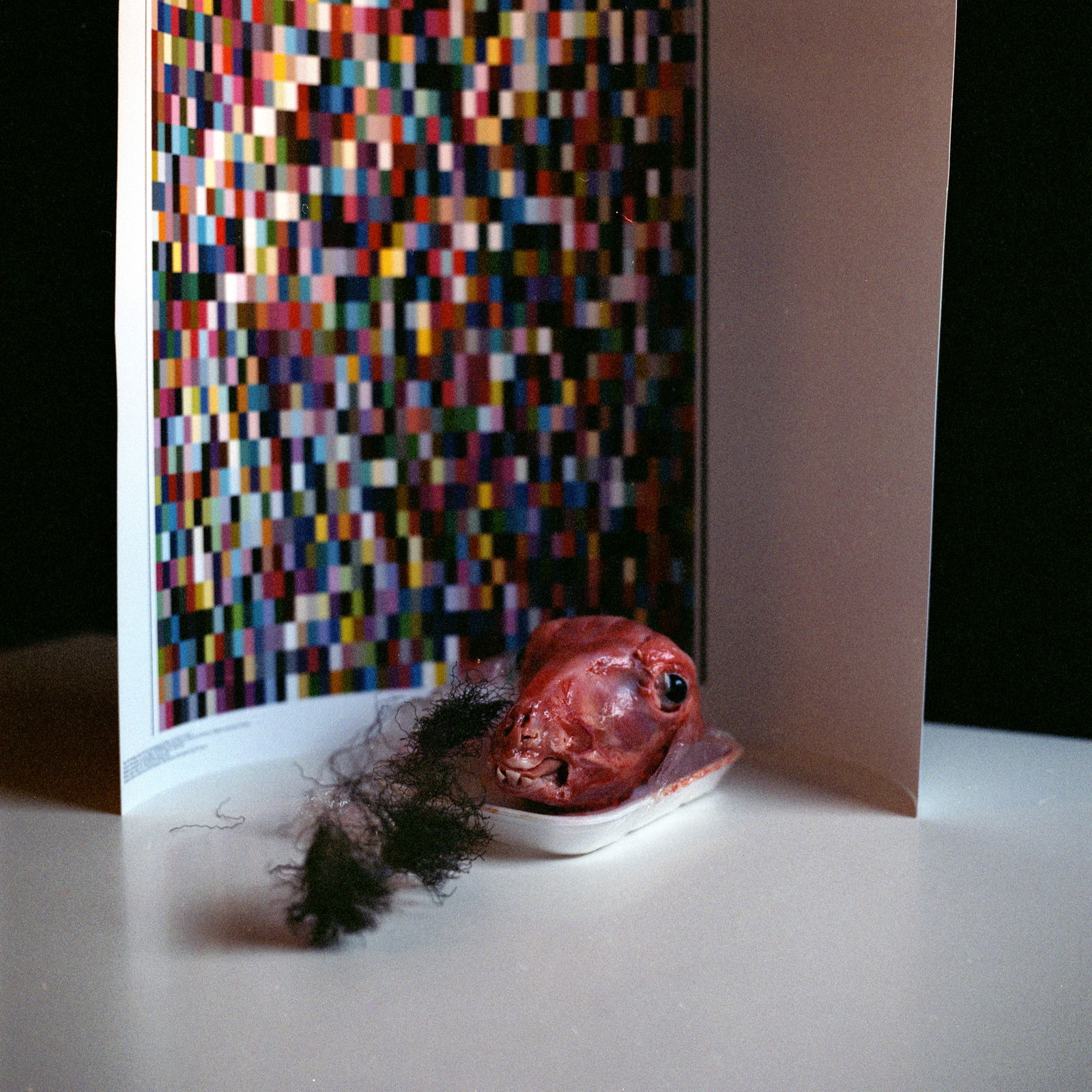 Spanish Still Life, Hasselblad Analogue Photography Print 24 x 24 in, Cuban Artist Conrado Maleta: Tittle: The Sweet Voice Of My Beloved Knight, Still Life Photography From A Bizarre Cabinet of Curiosities, Madrid Spain 2009. Color Medium Format Analogue Photo Prints. Neo Baroque Visual Poetry, Con