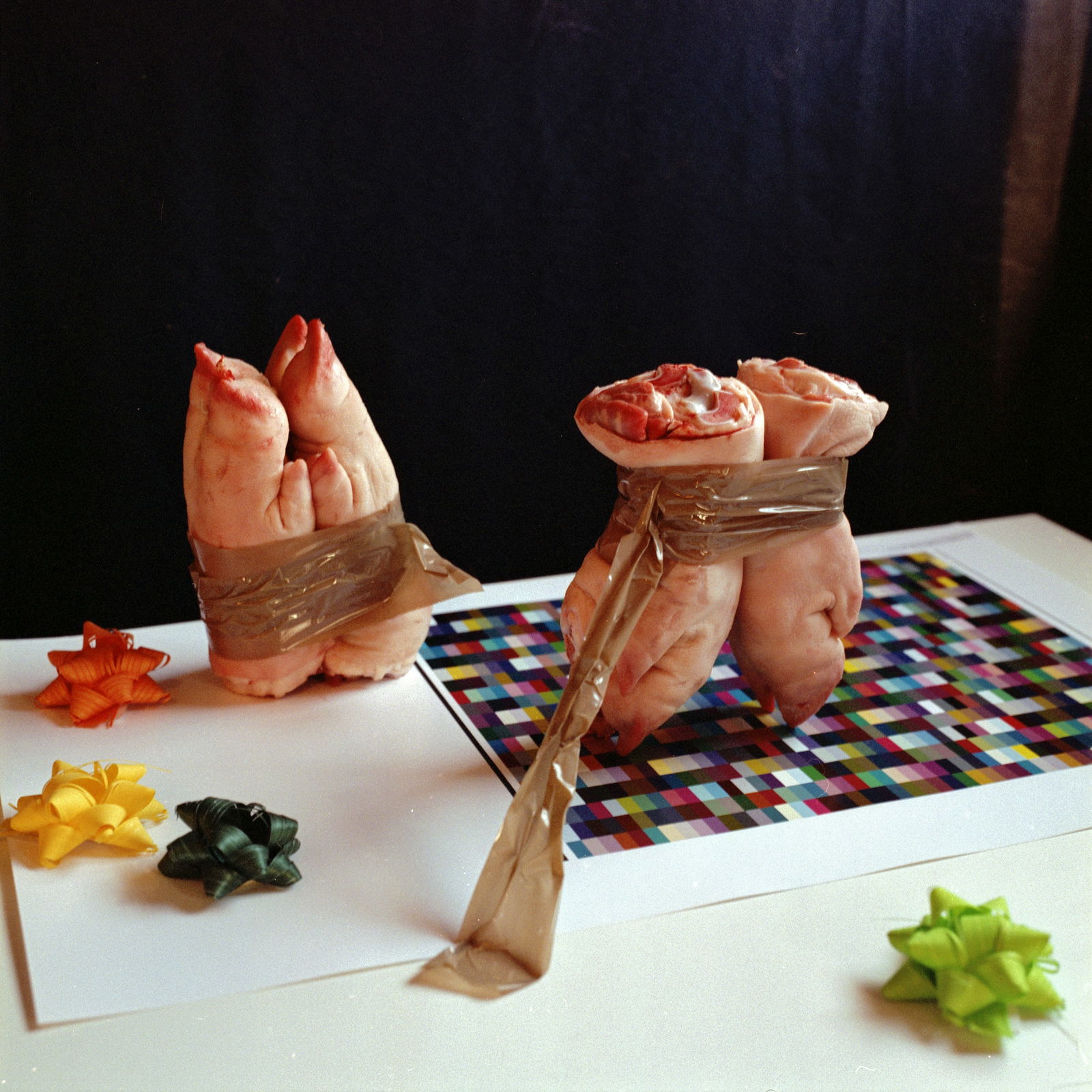 Spanish Still Life, Hasselblad Analogue Photography Print 24 x 24 in, Cuban Artist Conrado Maleta: Tittle: Pas De Deux, Still Life Photography From A Bizarre Cabinet of Curiosities, Madrid Spain 2009. Color Medium Format Analogue Photo Prints. Neo Baroque Visual Poetry, Contemporary Conceptual Cuba