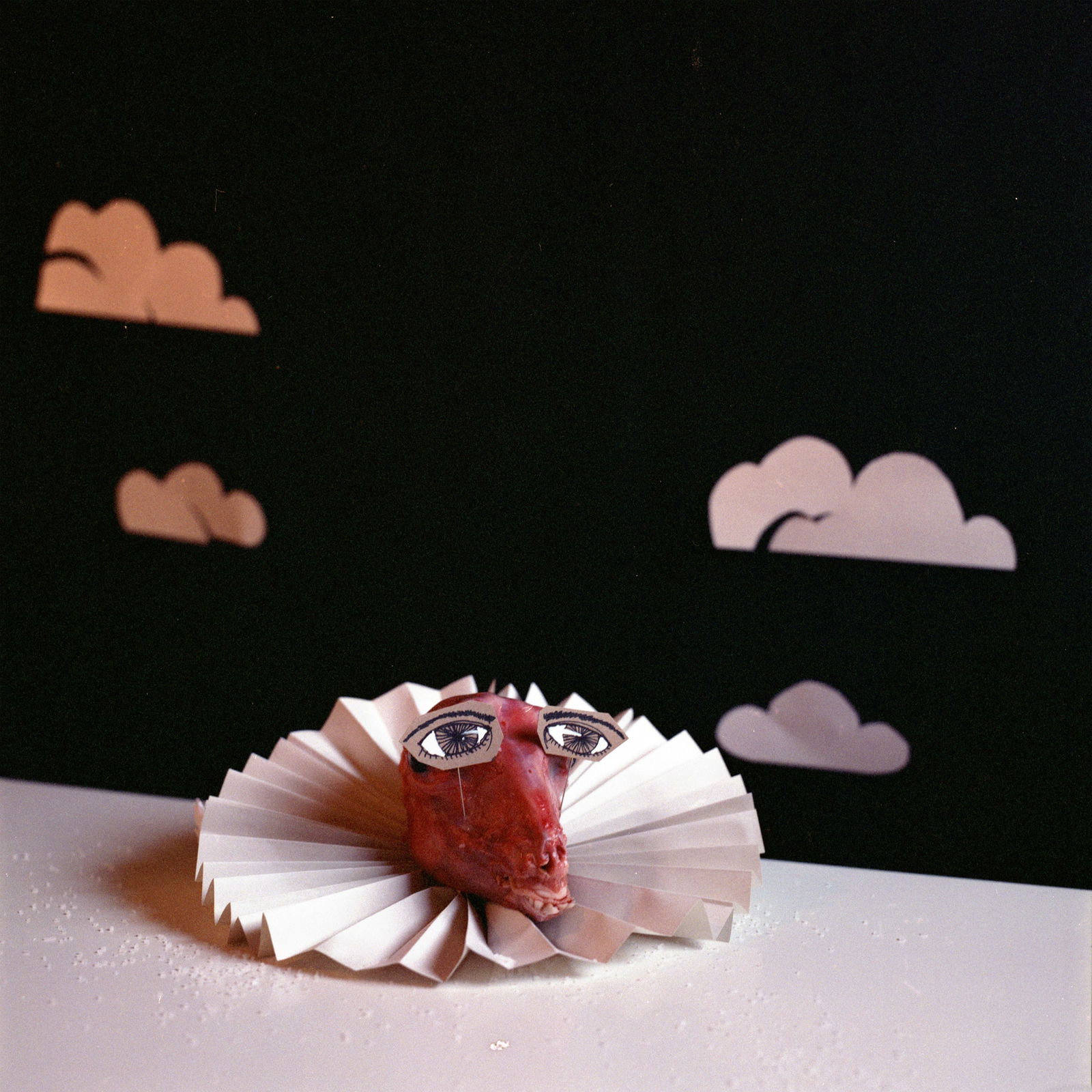 Spanish Still Life, Hasselblad Analogue Photography Print 24 x 24 in, Cuban Artist Conrado Maleta: Tittle: About Noblishmen And Plagiarism, Still Life Photography From A Bizarre Cabinet of Curiosities, Madrid Spain 2009. Color Medium Format Analogue Photo Prints. Neo Baroque Visual Poetry, Contempo