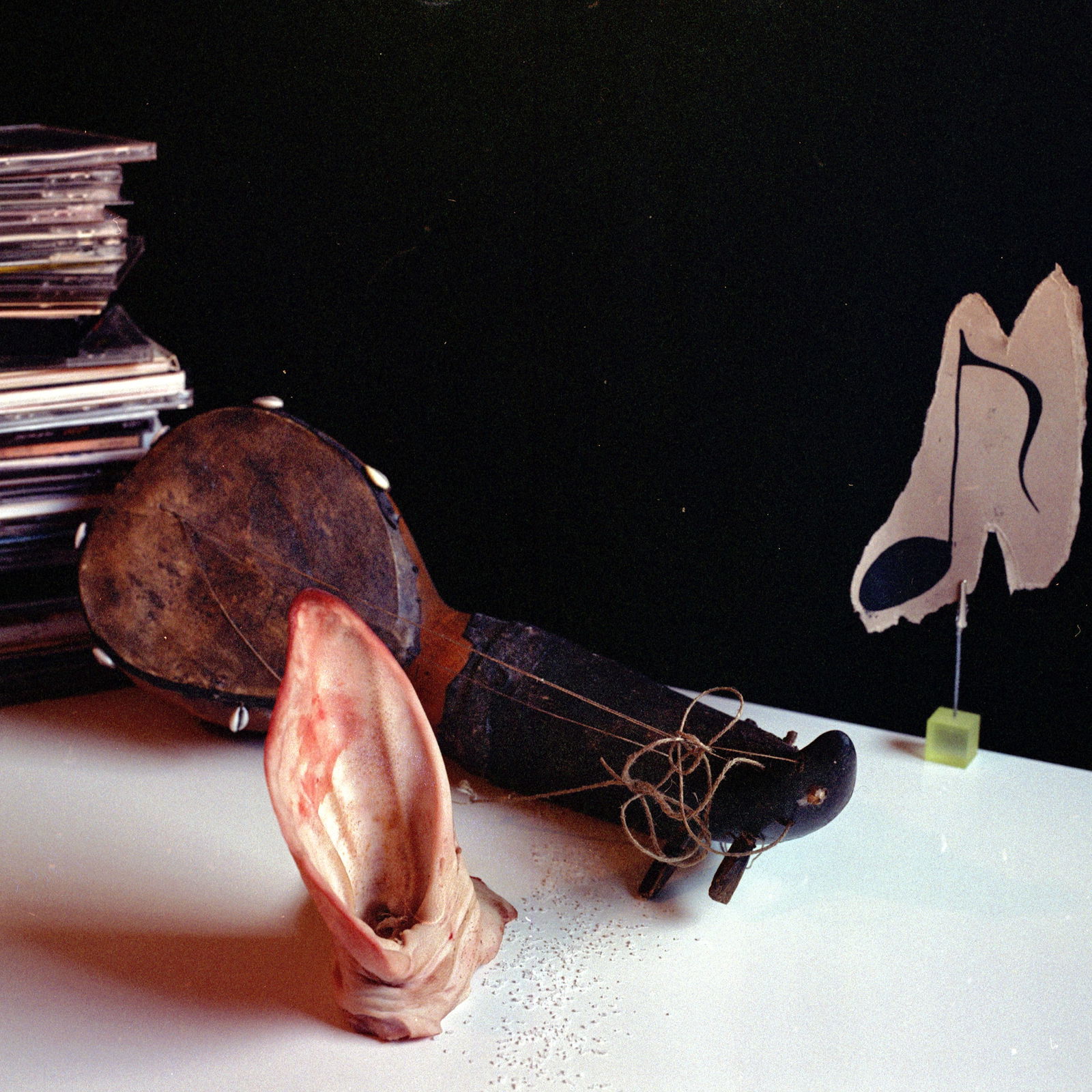 Spanish Still Life, Hasselblad Analogue Photography Print 24 x 24 in, Cuban Artist Conrado Maleta: Tittle: Opera Prima, Still Life Photography From A Bizarre Cabinet of Curiosities, Madrid Spain 2009. Color Medium Format Analogue Photo Prints. Neo Baroque Visual Poetry, Contemporary Conceptual Cuba