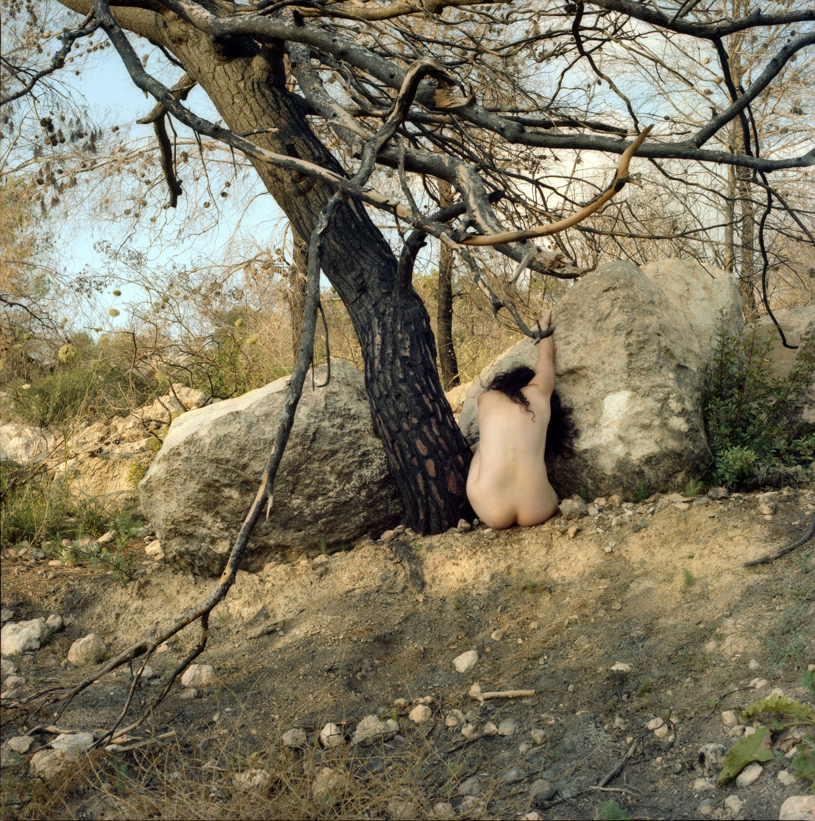Ein Hod, Israel, Hasselblad Photo Print 24 x 24 in, Signed, Israeli Contemporary Artist Naama Sarid: Title: Desnuda esta la tierra. The burnt forest in Ein-Hod, Israel 2011. Hasselblad camera, 160iso Color Film. Color Medium Format Analogue Photography, Israeli Female Model, Portrait in landscape, Mi