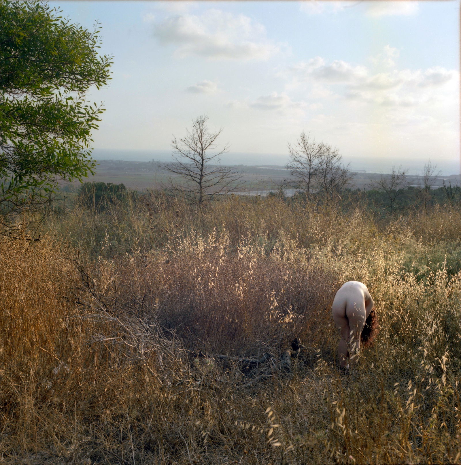 Ein Hod, Israel, Hasselblad Photo Print 24 x 24 in, Signed, Israeli Contemporary Artist Naama Sarid: Title: Llanuras hasta la comisura de los parpados (Yehuda Amijai). The burnt forest in Ein-Hod, Israel 2011. Hasselblad camera, 160iso Color Film. Color Medium Format Analogue Photography, Israeli Fem