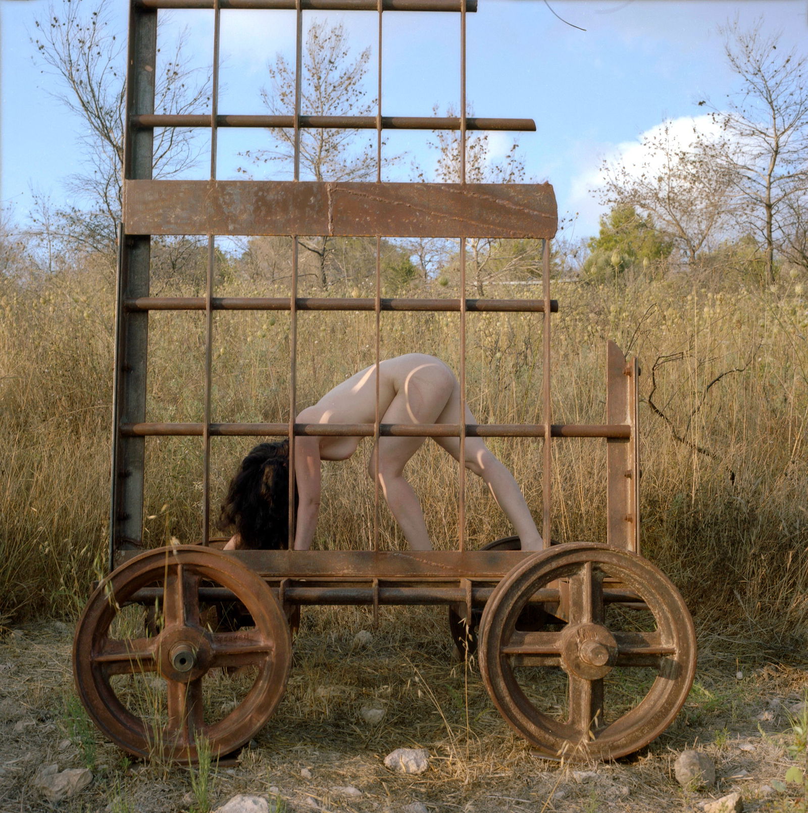 Ein Hod, Israel, Hasselblad Photo Print 24 x 24 in, Signed, Israeli Contemporary Artist Naama Sarid: Title: El viento y la lluvia. The burnt forest in Ein-Hod, Israel 2011. Hasselblad camera, 160iso Color Film. Color Medium Format Analogue Photography, Israeli Female Model, Portrait in landscape, Mid