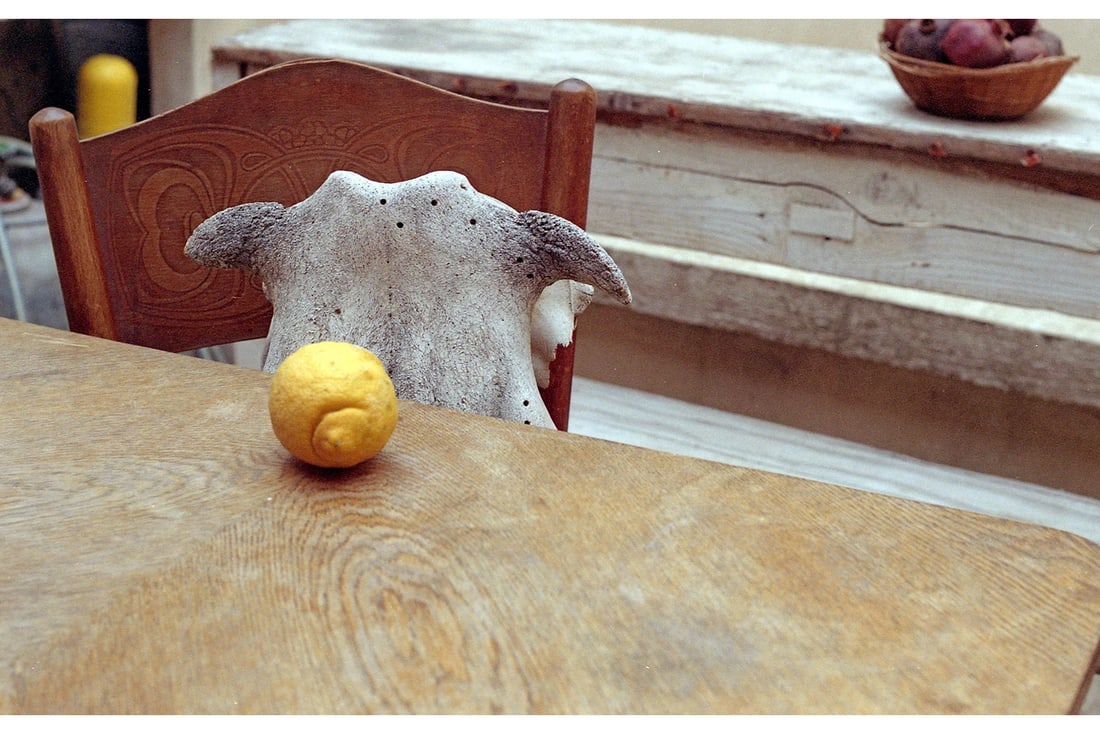 Ein Hod, Haifa, 35mm Analogue Pentax Asahi Photography Art Print 24 x 16 in, Conrado Maleta, Cuba: Title: The Mathematics Of Absurd, 2010. Ein Hod Village Har HaKarmel Israel, Analogue Expired Color 35 mm Kodak Film. Still Life Bodegon Contemporary Cuban Art, Arte Cubano Contemporaneo En La Diaspor