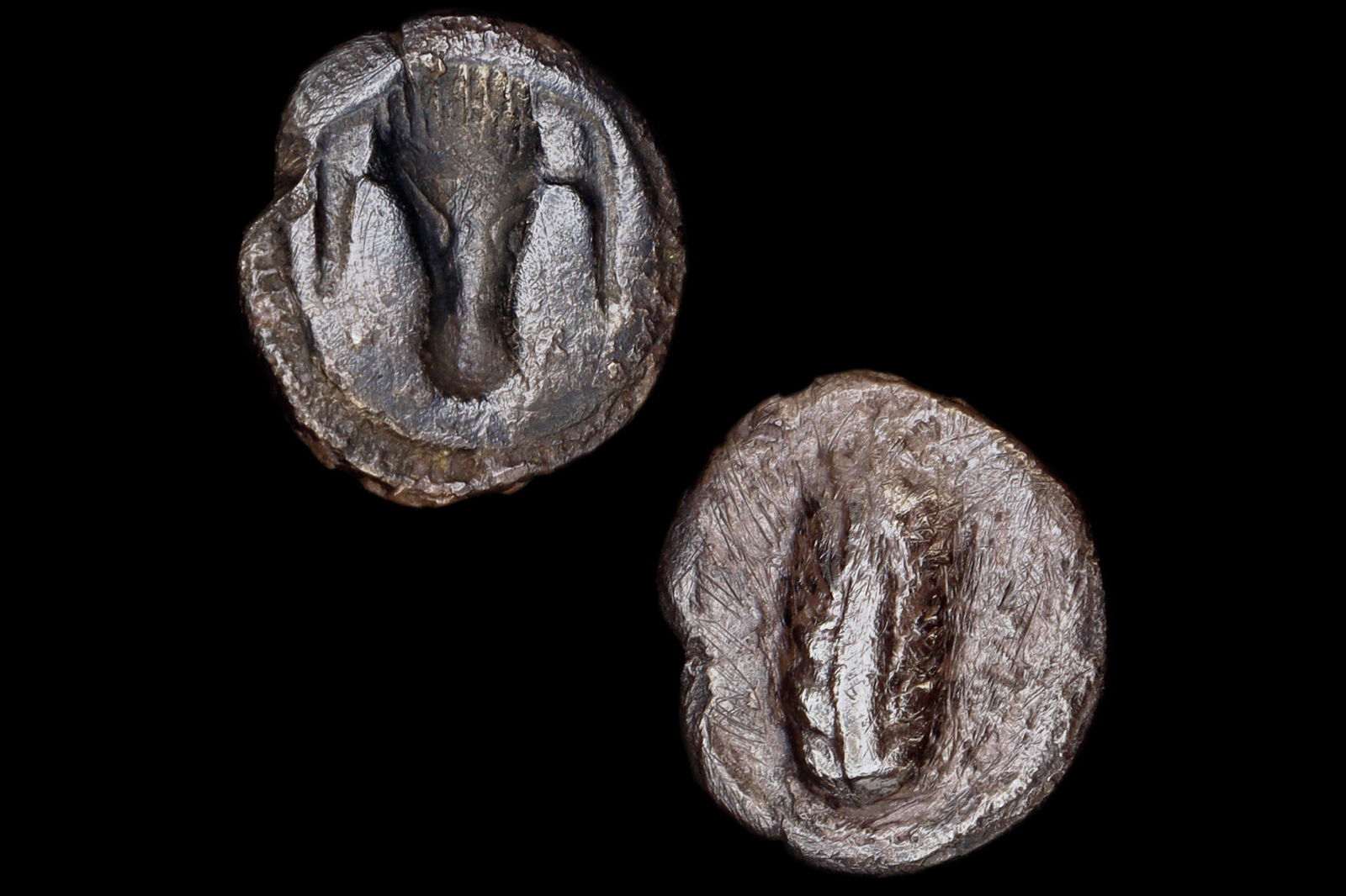 Metapontion Lucania Coin, Ancient 470 To 440 BC Silver Hemidrachm, Bucranium Bull And Barley, Italy: Dimensions, Diameter 13 mm, Weight 0.92 grams. All measurements are approximate. Sold Exactly As Pictured. Rare Numismatic Piece. LUCANIA, Metapontion. Circa 470 to 440 BCE. AR Hemidrachm. Near To Ver