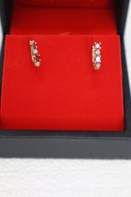 Garnet and Diamond Earings