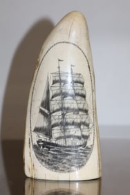 Scrimshaw whale tooth