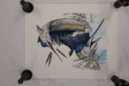 "Out of the blue" by Steve T. Goione