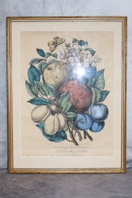 Currier & Ives "Apples and Plums" Print