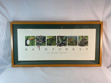 Rainforest Educational Poster - Framed