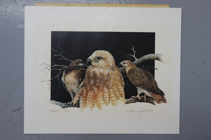 "Hawks" by Keith Martin Johns