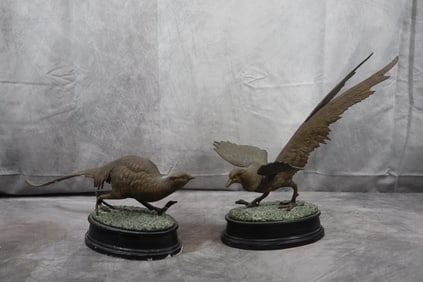 2 Bronze - Fighting Pheasants